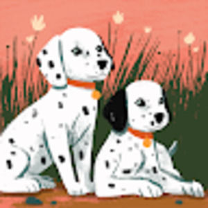 Meet your Posher, Yanira